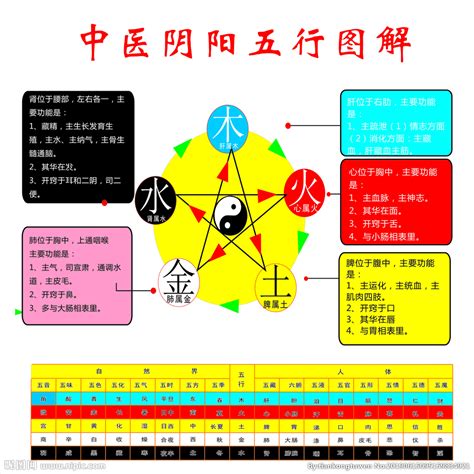 秋 五行|秋季 養生 陰陽五行 黄帝内経｜宏福中医研